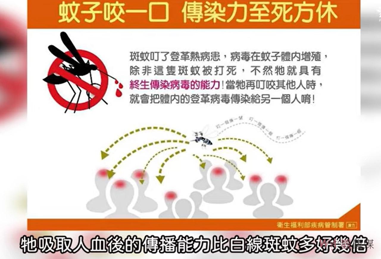（有影片）／雲林啟動冬季埃及斑蚊消除計畫　中央與地方聯手防範登革熱疫情 - https://www.watchmedia01.com
