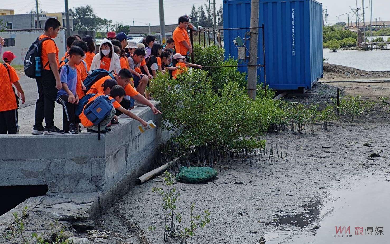 保長國小走訪口湖濕地　近距離體驗濕地生態之美與保育挑戰 - https://www.watchmedia01.com