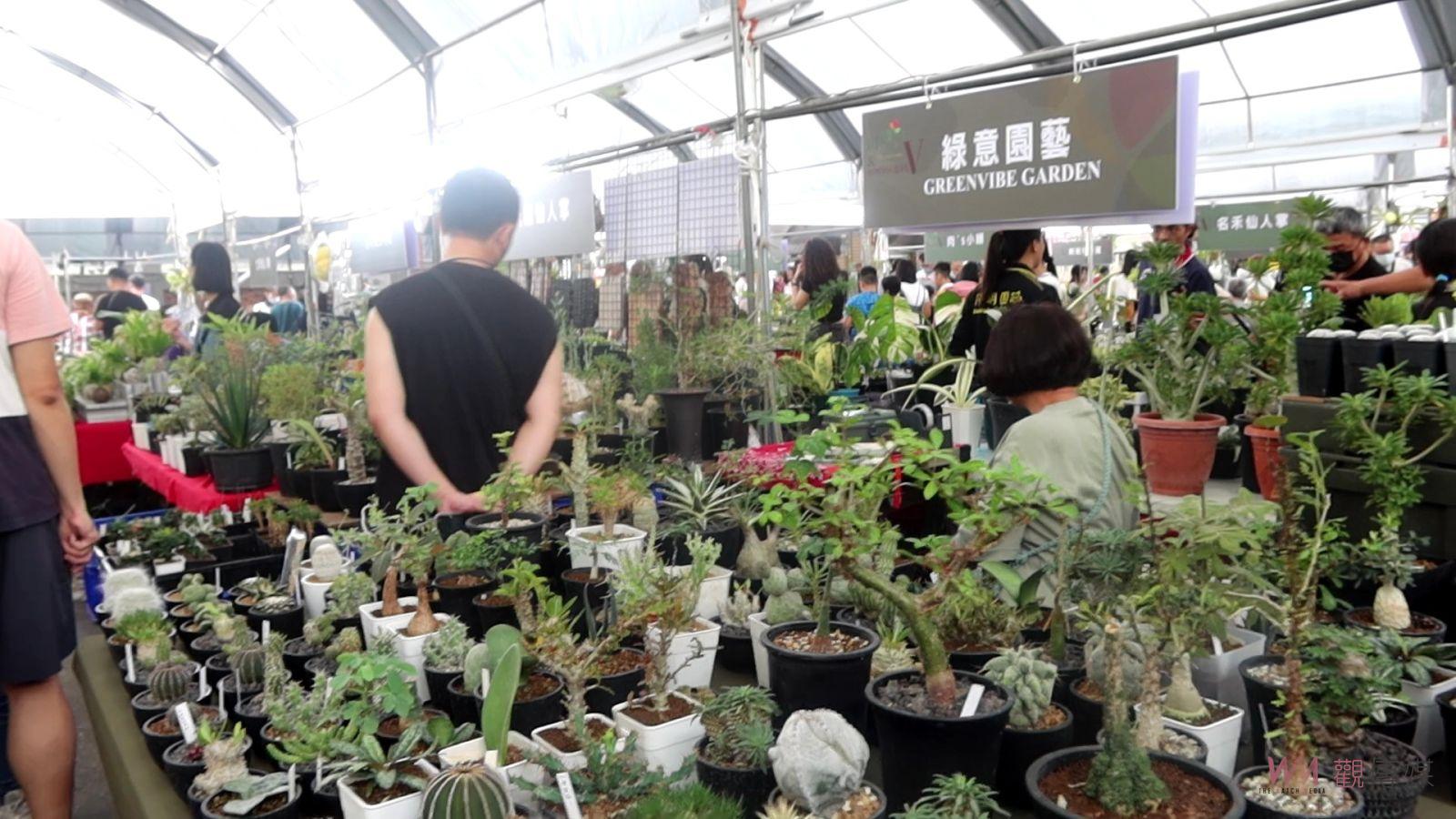 （有影片）／菊花多元利用　透過創意插花讓人重新認識菊花優雅的效果 - https://www.watchmedia01.com