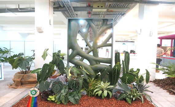 2024台灣熱帶雨林、觀葉植物精品大賞頒獎典禮 - https://www.watchmedia01.com
