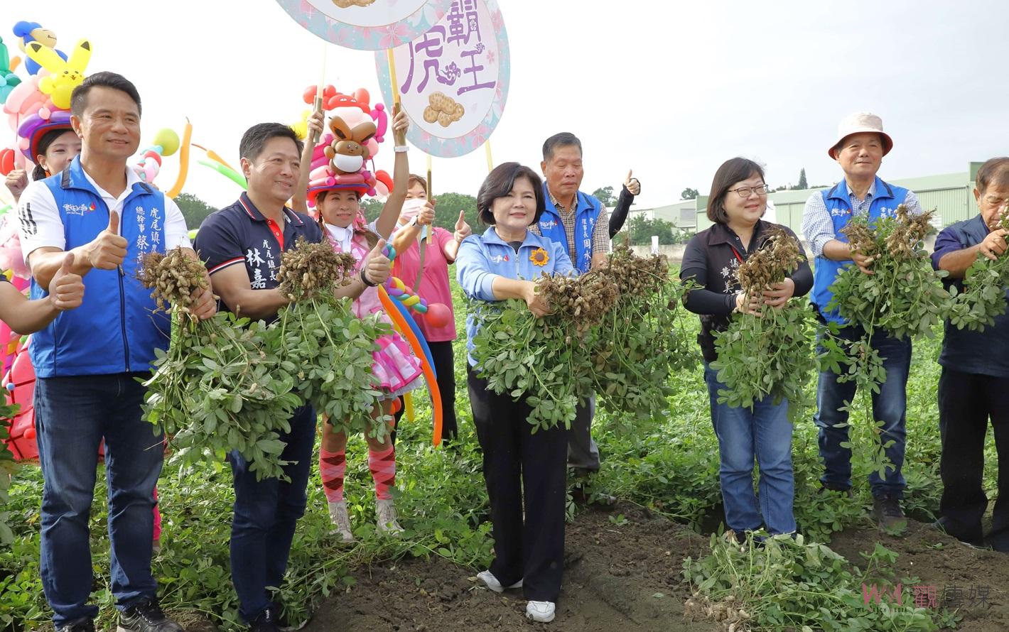雲林虎尾花生季火熱開跑　千人拷土豆樂翻天「虎霸王」成新寵 - https://www.watchmedia01.com