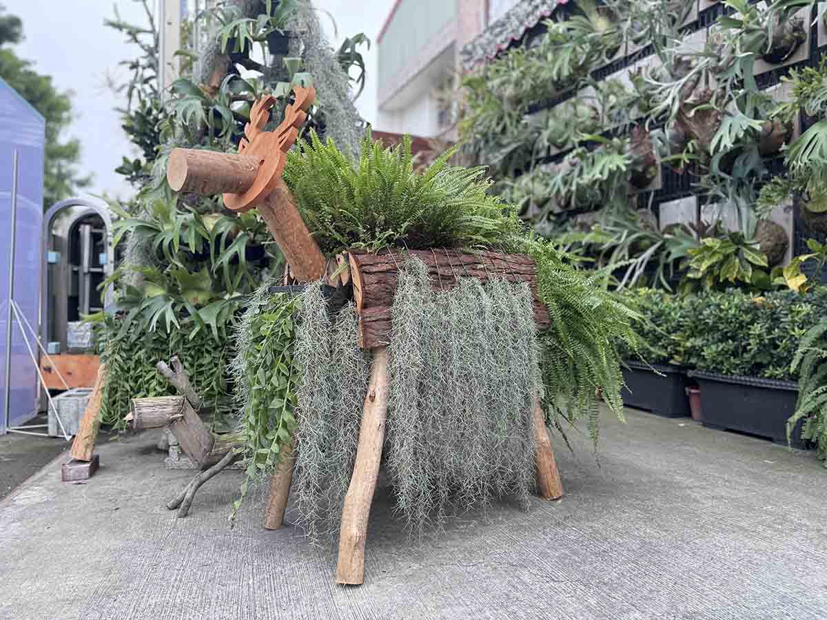 (有影片)/探索花鄉創意與美學 數位導覽帶您走訪田尾花卉一條街 - https://www.watchmedia01.com