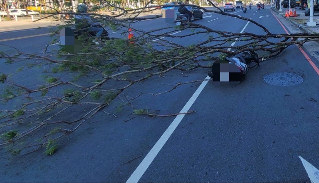 快訊／高雄騎士遭路旁樹倒波及自摔送醫 - https://www.watchmedia01.com