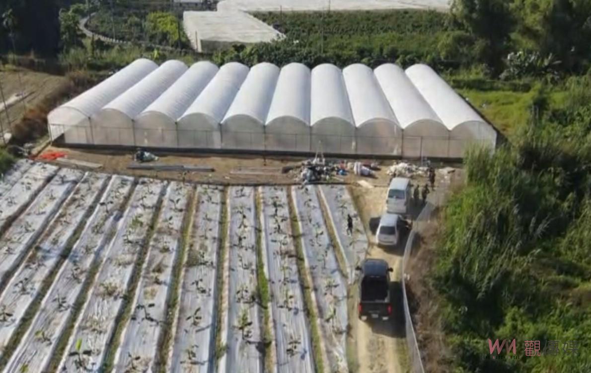 （有影片）／雲林檢警憲聯手破10億大麻園　史上最大溫室種植場曝光5人羈押 - https://www.watchmedia01.com
