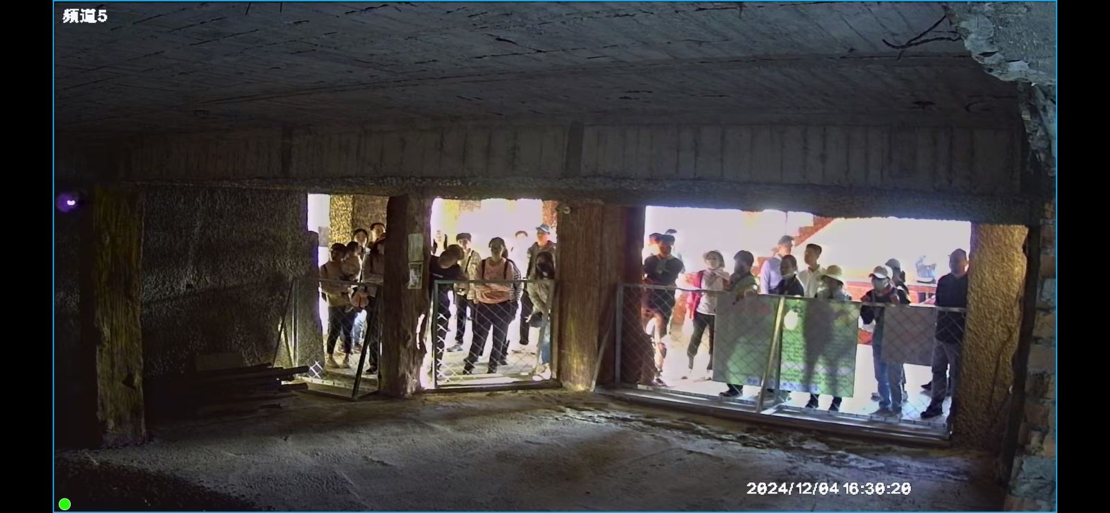 （有影片）／彰化市四面佛寺台灣葉鼻蝠棲地遭破壞　蝙蝠數量只剩8隻 - https://www.watchmedia01.com