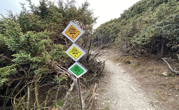 公私協力施設玉山群峰線後四峰山徑反光路標 - https://www.watchmedia01.com
