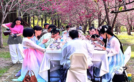九族2025櫻花祭早鳥票開賣了春節前限時優惠條件一併曝光 - https://www.watchmedia01.com