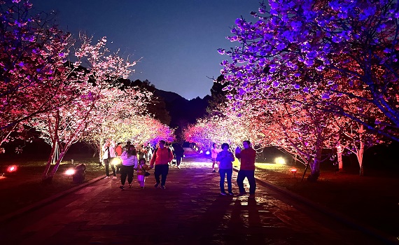 九族2025櫻花祭早鳥票開賣了春節前限時優惠條件一併曝光 - https://www.watchmedia01.com