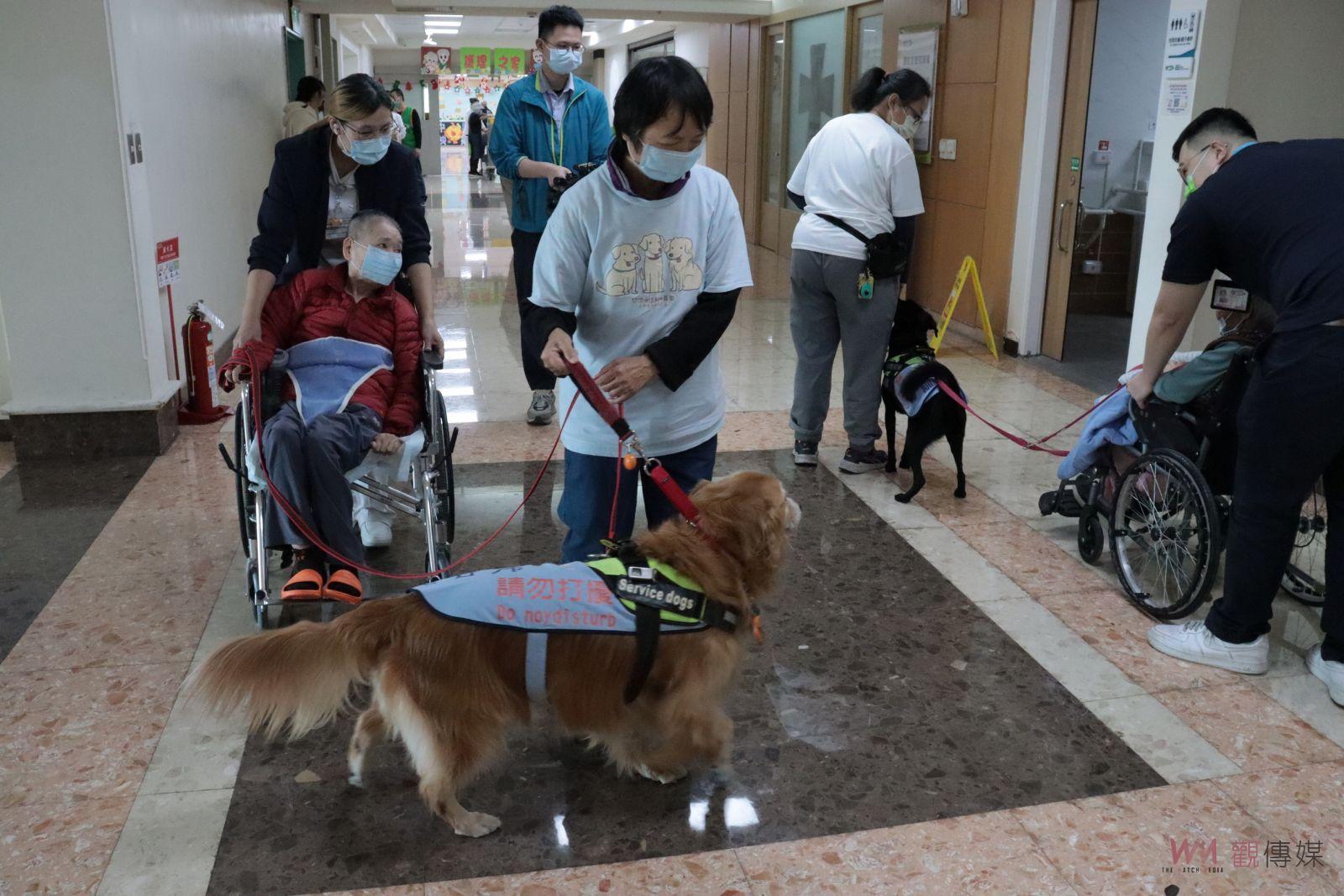 （有影片）／療癒！服務犬首度進駐彰化護理之家　長者重拾往日溫情 - https://www.watchmedia01.com