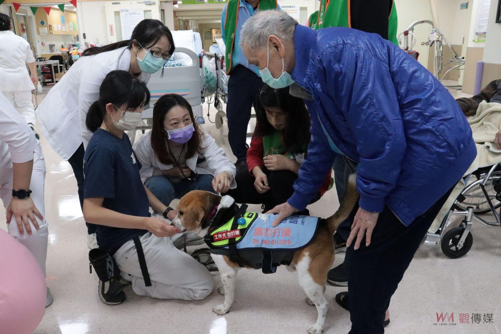（有影片）／療癒！服務犬首度進駐彰化護理之家　長者重拾往日溫情 - https://www.watchmedia01.com