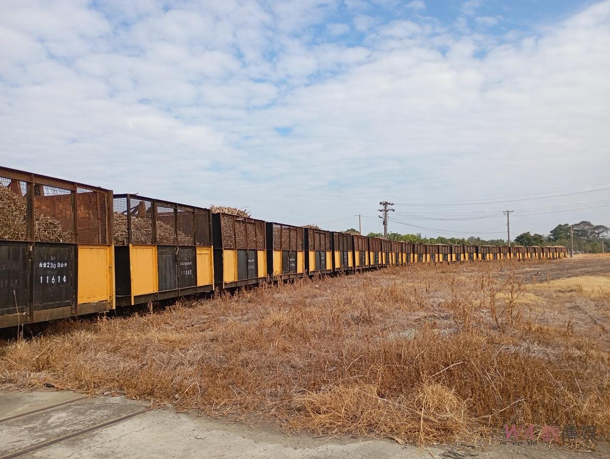 台糖虎尾糖廠113/114年期製糖開工 全臺唯一運蔗五分車甜蜜啟航 - https://www.watchmedia01.com