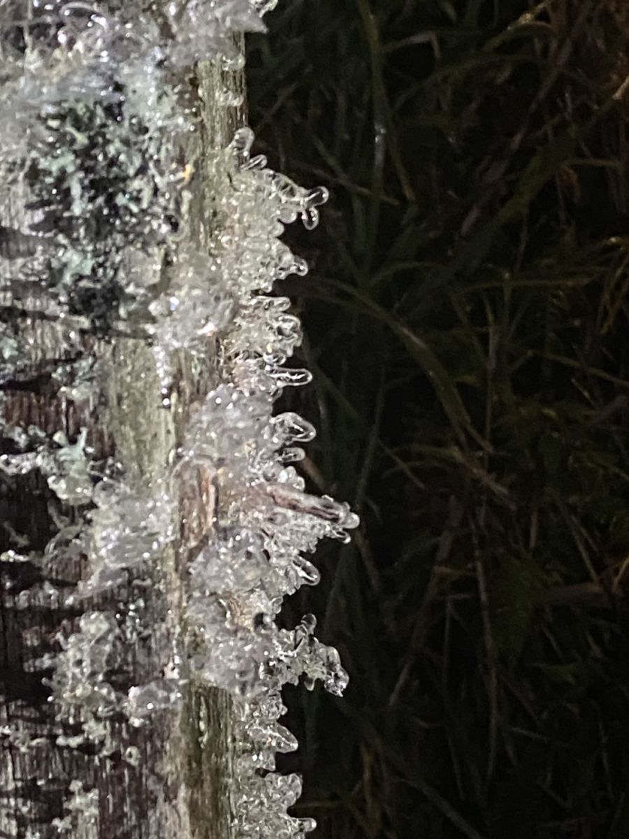 冷氣團來襲太平山零下四度 水氣不足未見瑞雪 - https://www.watchmedia01.com