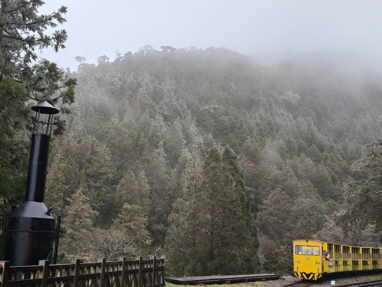 冷氣團來襲太平山零下四度 水氣不足未見瑞雪 - https://www.watchmedia01.com