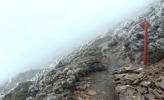 銀白世界！ 大陸冷氣團影響白淞點玉山 - https://www.watchmedia01.com