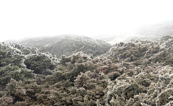 銀白世界！ 大陸冷氣團影響白淞點玉山 - https://www.watchmedia01.com