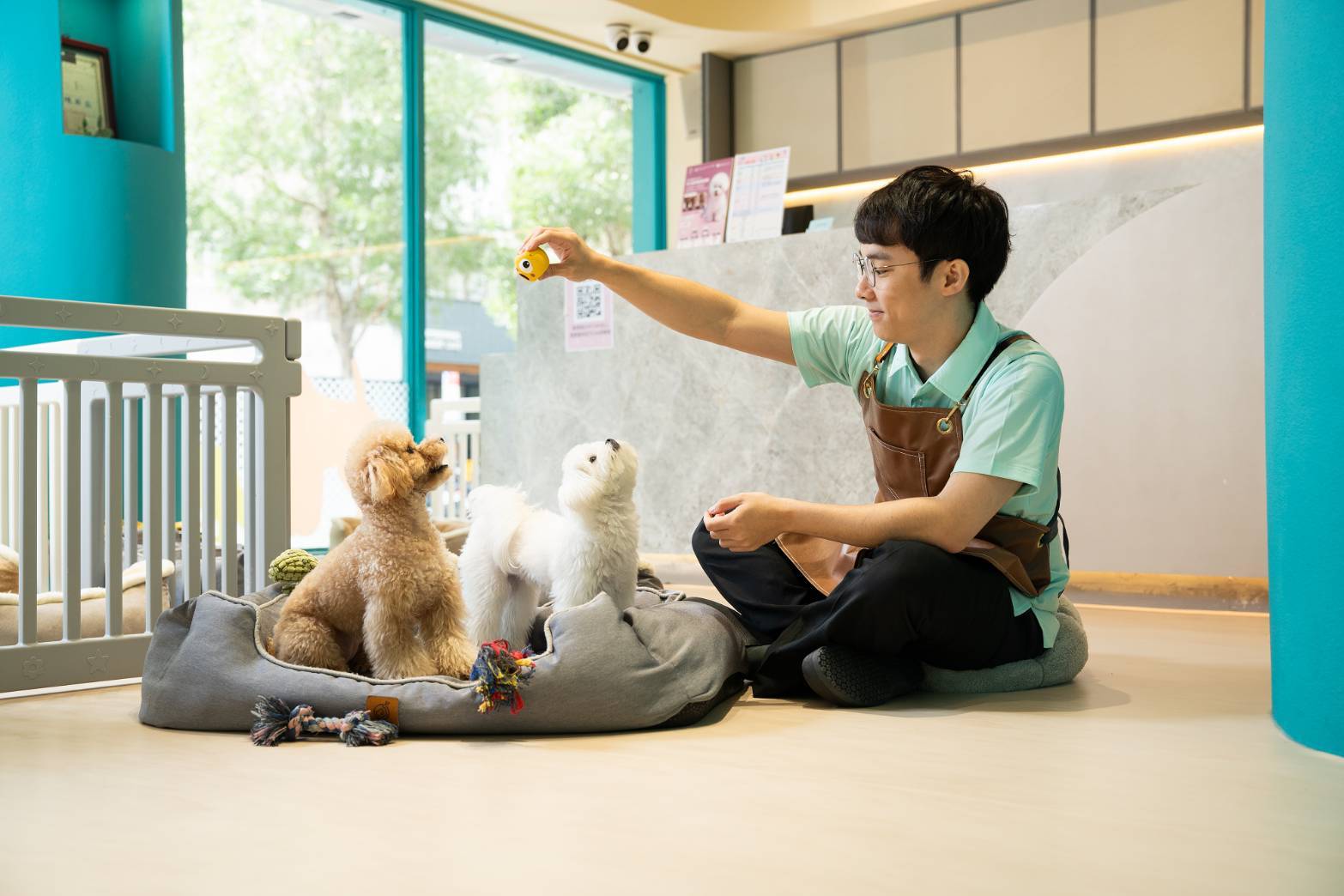 國寶寵物以動物福利為核心 奪得特優評鑑!! 聯手業界打造最高品質照護服務 - https://www.watchmedia01.com