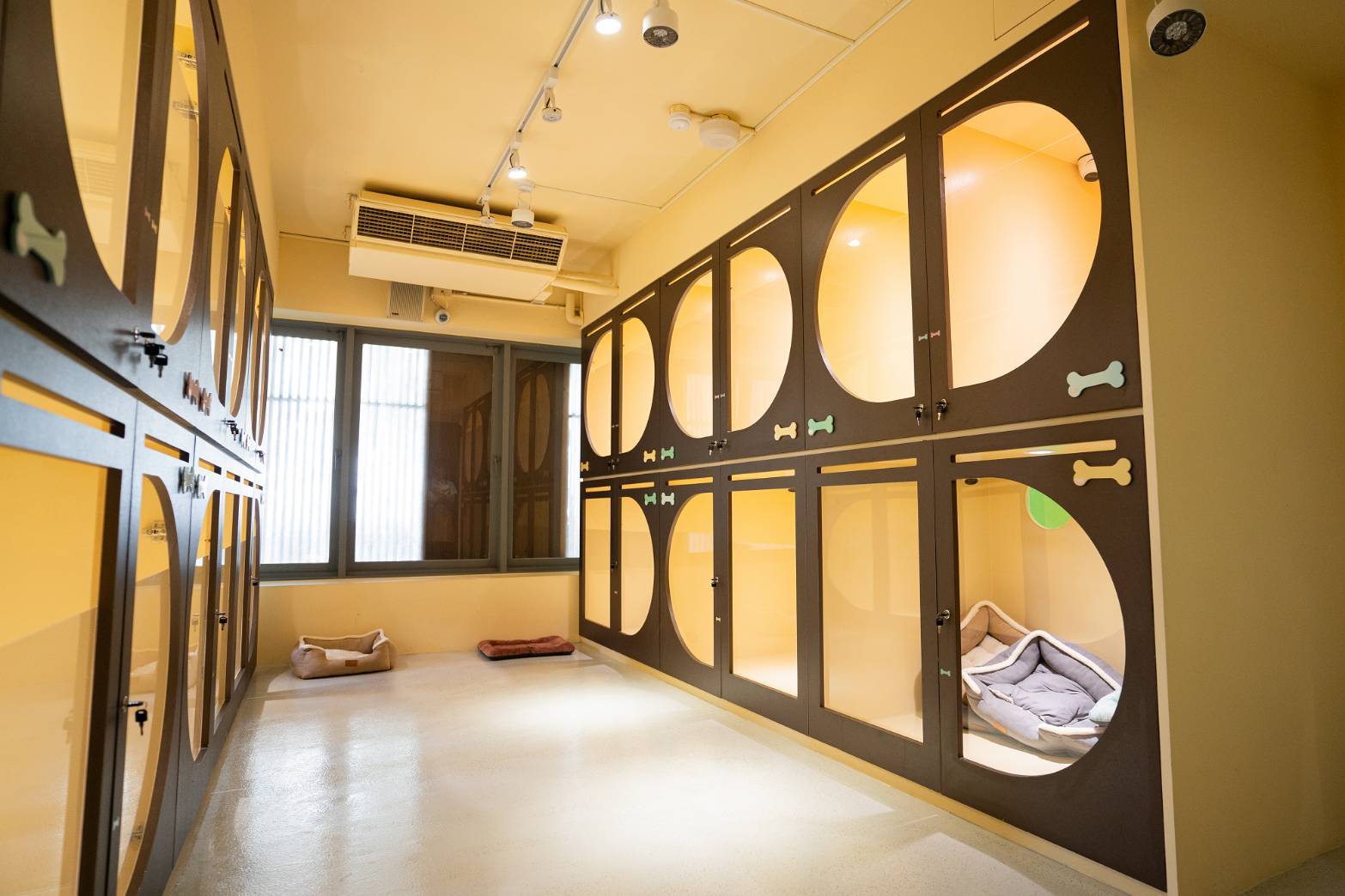 國寶寵物以動物福利為核心 奪得特優評鑑!! 聯手業界打造最高品質照護服務 - https://www.watchmedia01.com