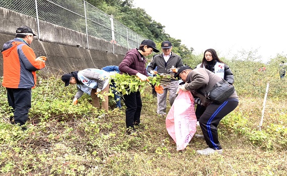 公私協力移除外來種植物 齊心守護石虎棲地 - https://www.watchmedia01.com
