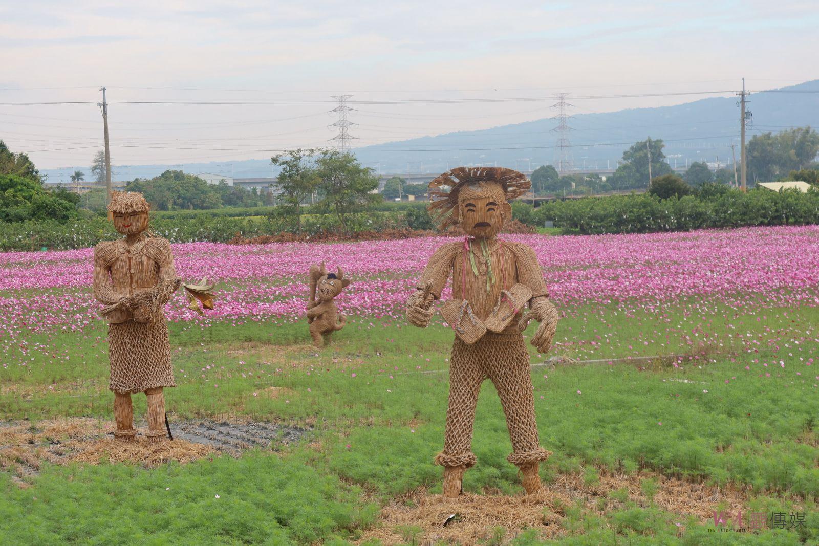 （有影片）／浪漫花海　稻草藝術展現田中特色　成為「龍稻田中」打卡焦點 - https://www.watchmedia01.com