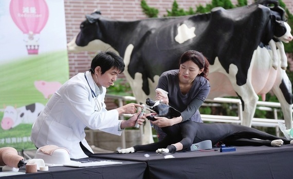 全國獸醫仿生教具最齊全的大學！興大「小動物仿生教具」啟用　助動物醫療技術與國際接軌 - https://www.watchmedia01.com