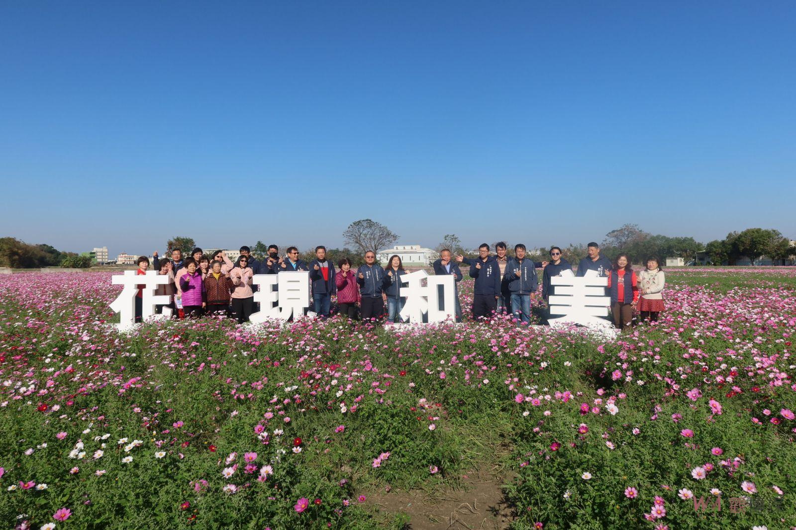 （有影片）／七公頃波斯菊花海點亮和美　鎮長邀您來賞花購年貨 - https://www.watchmedia01.com
