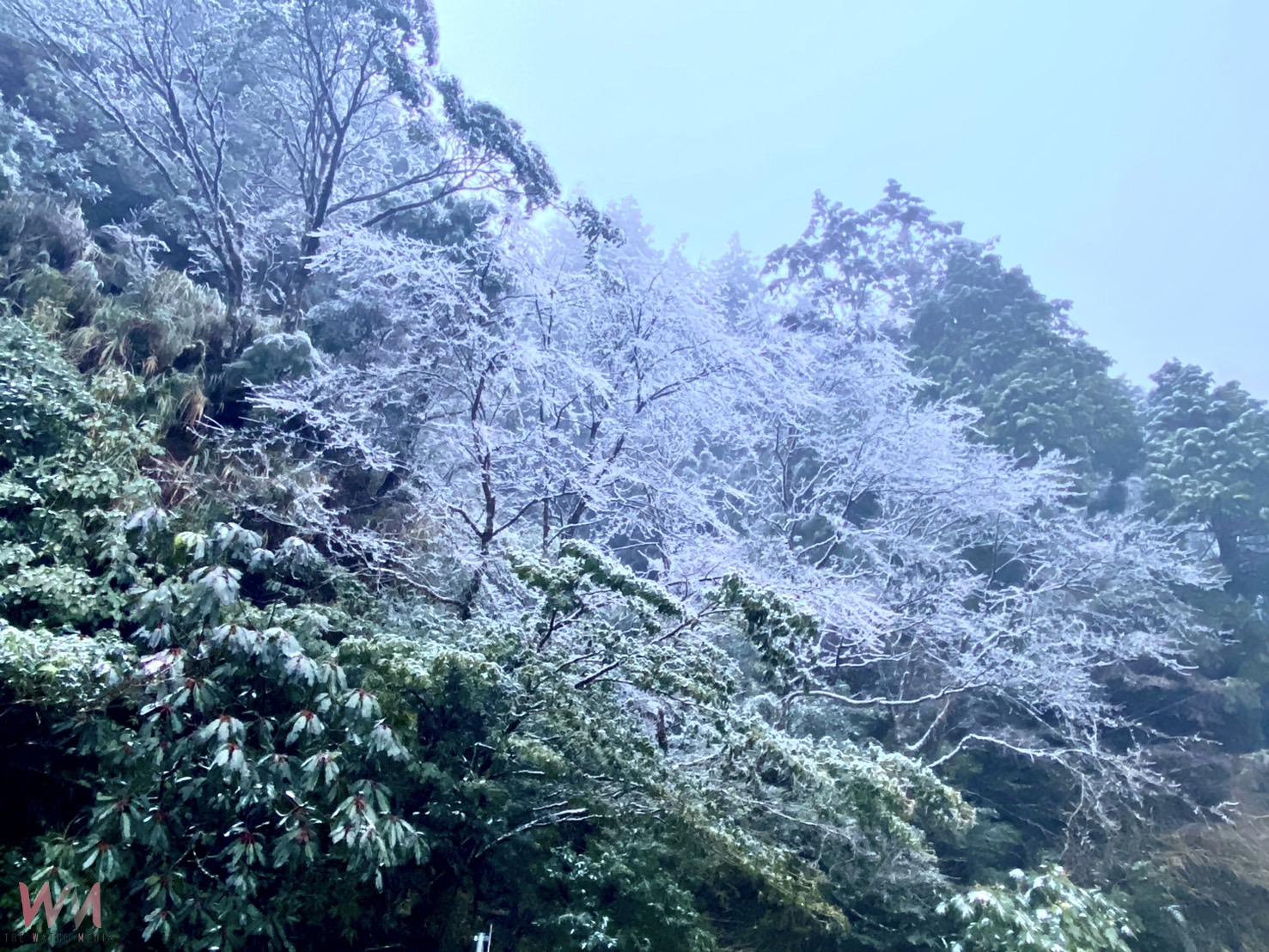 不是雪！是冰霰 太平山遊客嗨翻玩球 - https://www.watchmedia01.com