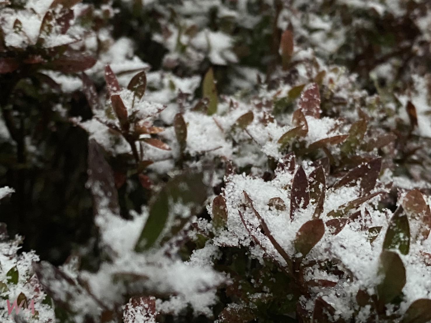 不是雪！是冰霰 太平山遊客嗨翻玩球 - https://www.watchmedia01.com