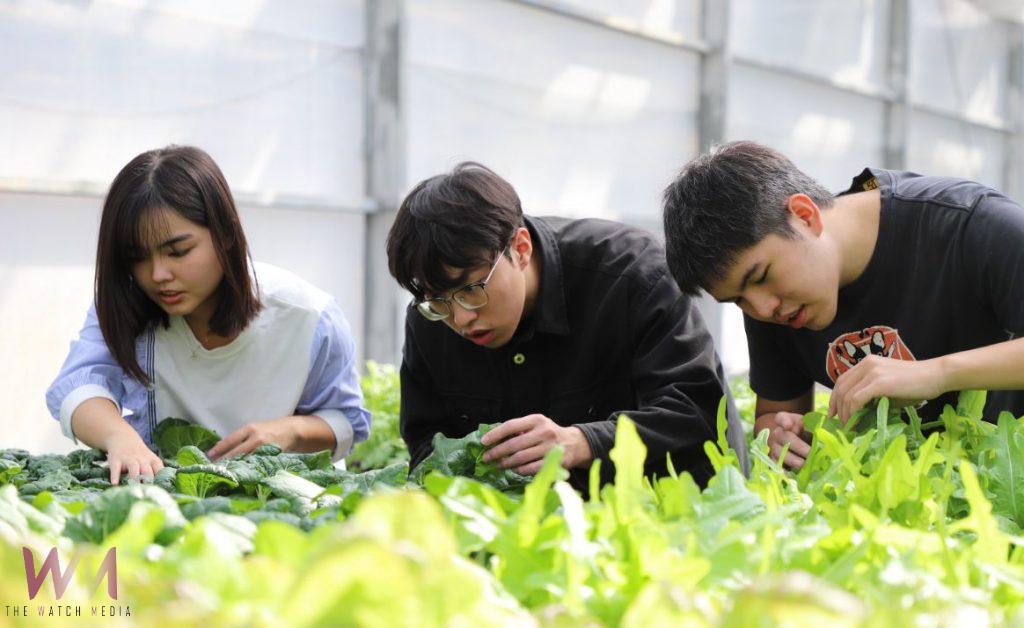 嘉義大學日間註冊率達九成七以上　展現辦學卓越成果 - https://www.watchmedia01.com