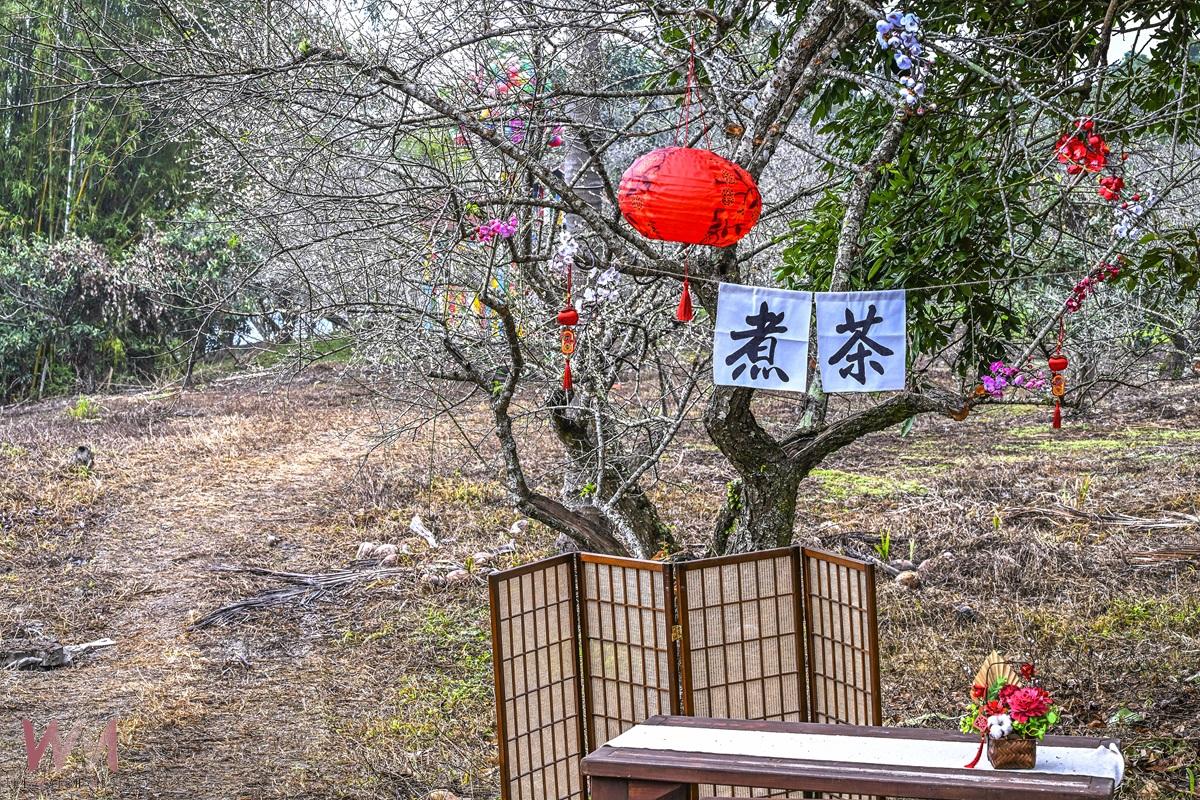 尋梅樂舞相約六龜　桃源櫻花季接續浪漫登場 - https://www.watchmedia01.com