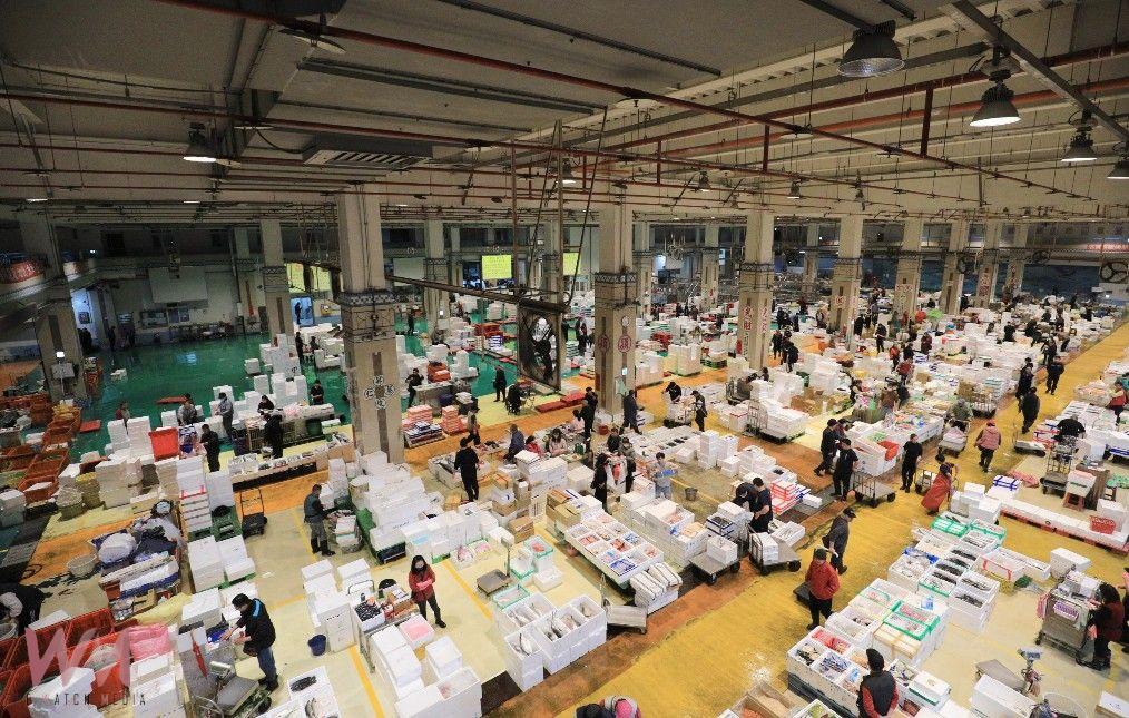 中市盧秀燕春節前視察魚市、果菜市場　關心供需加強調配量 - https://www.watchmedia01.com
