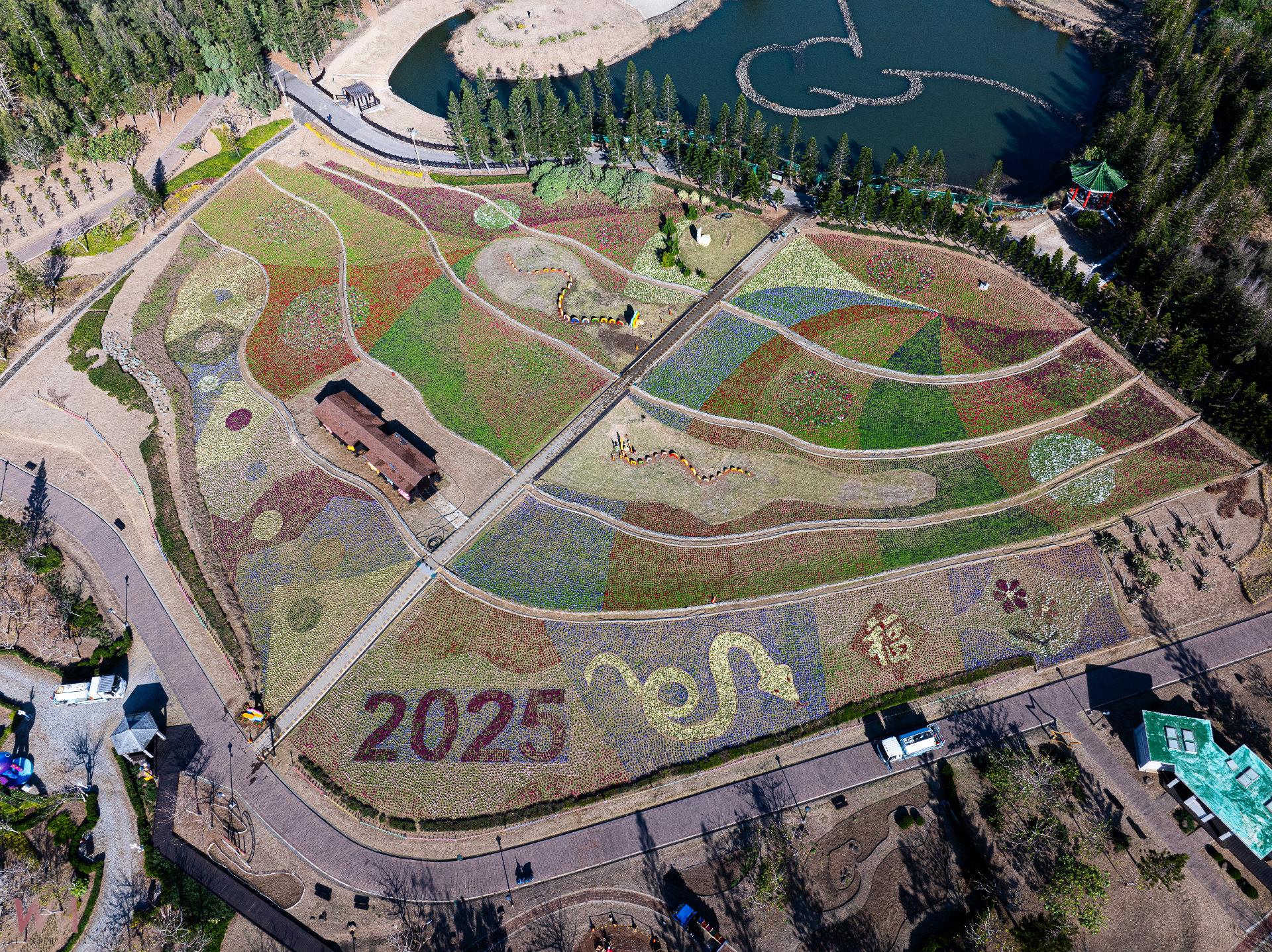 「2025蛇來運轉過好年」澎湖花海熱鬧登場 邀您走春賞花迎新年 - https://www.watchmedia01.com