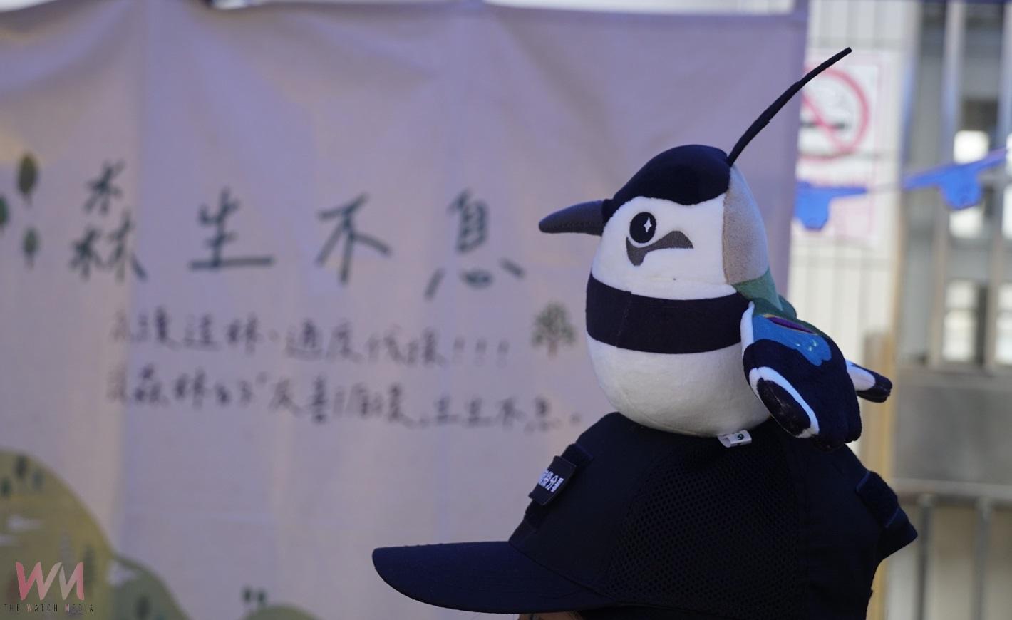（有影片）／土豆鳥大集合官民共譜保育新章　2025雲林小辮鴴數量調查創新高 - https://www.watchmedia01.com