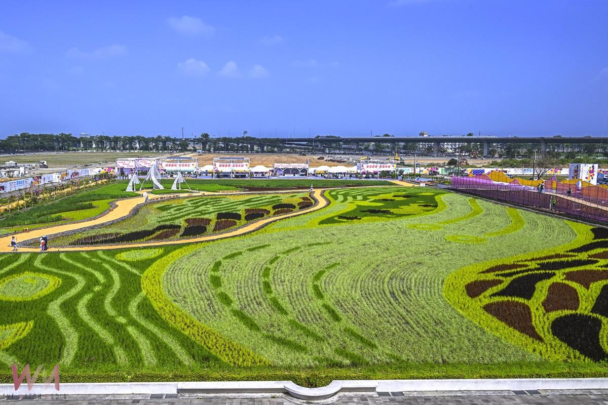 屏東熱博展示農業非常未來　走入彩稻田觀賞日夜不同地景 - https://www.watchmedia01.com