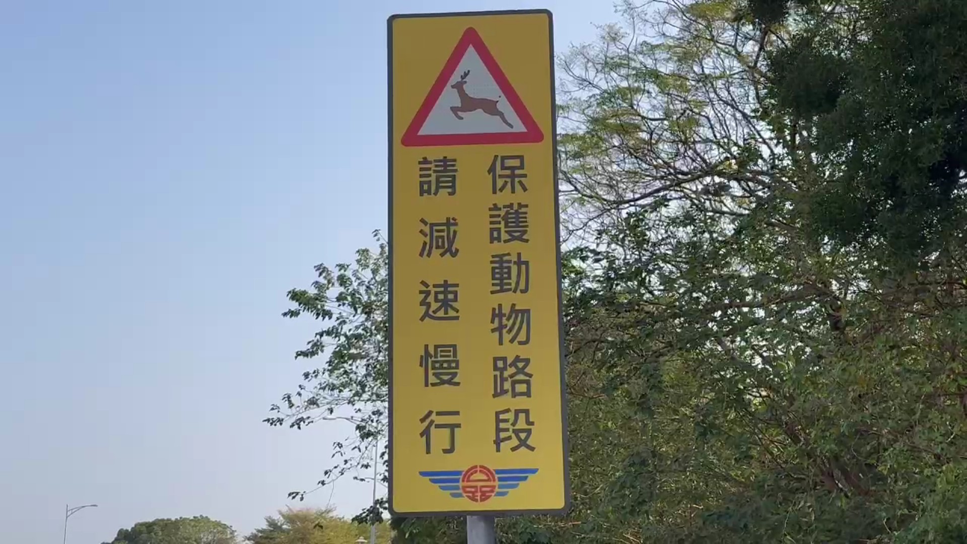 (有影片)/水鹿驚現台74甲線撞車險象環生 女駕駛驚險脫困 車損嚴重 - https://www.watchmedia01.com