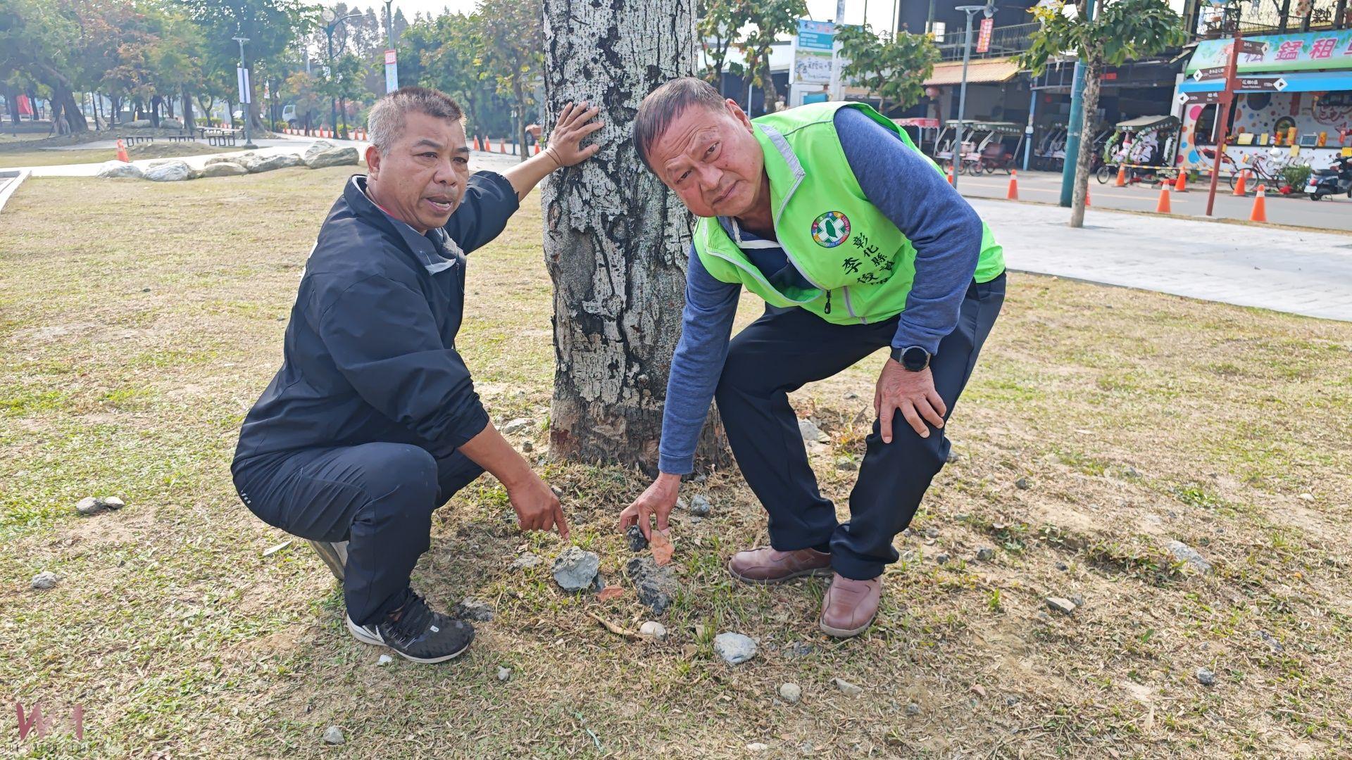 （有影片）／田尾公路花園重建後樹木大量枯死　綠意消失損害觀光形象 - https://www.watchmedia01.com
