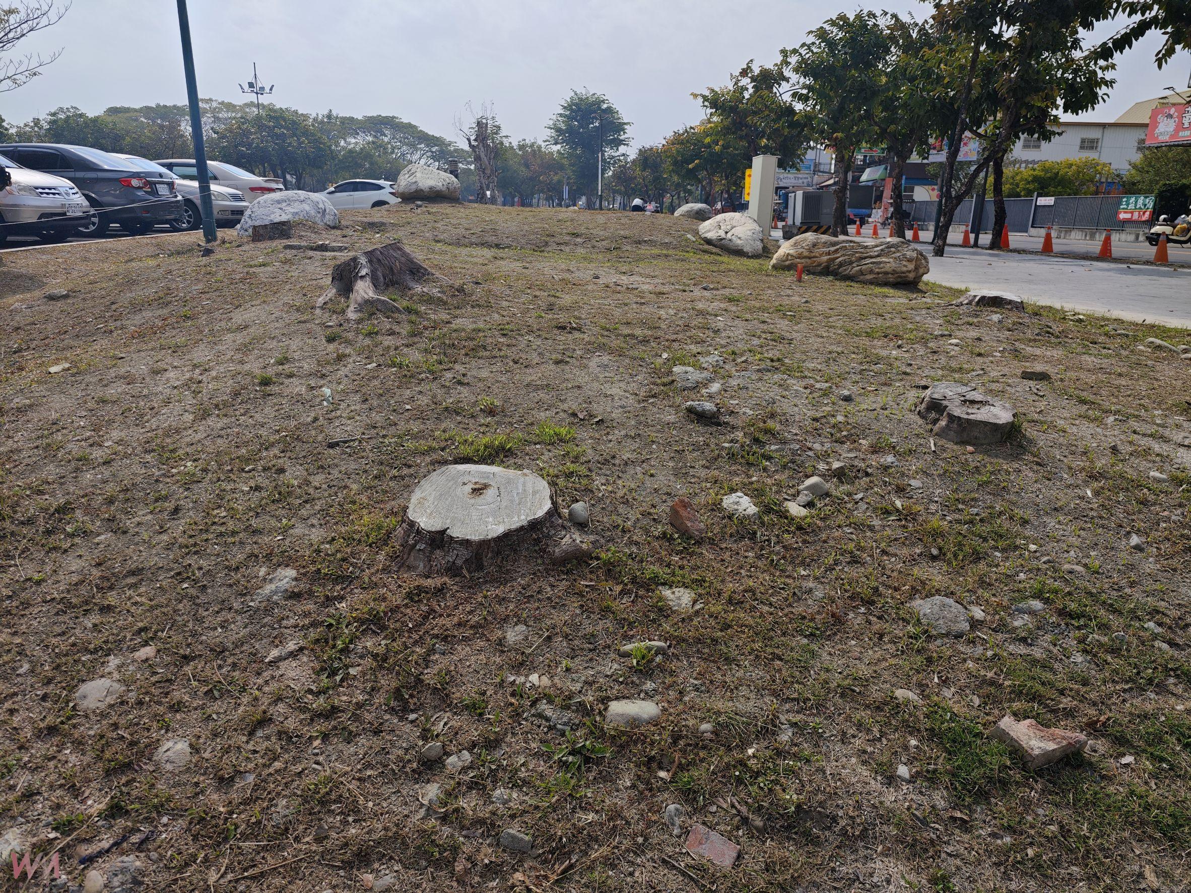 （有影片）／田尾公路花園重建後樹木大量枯死　綠意消失損害觀光形象 - https://www.watchmedia01.com