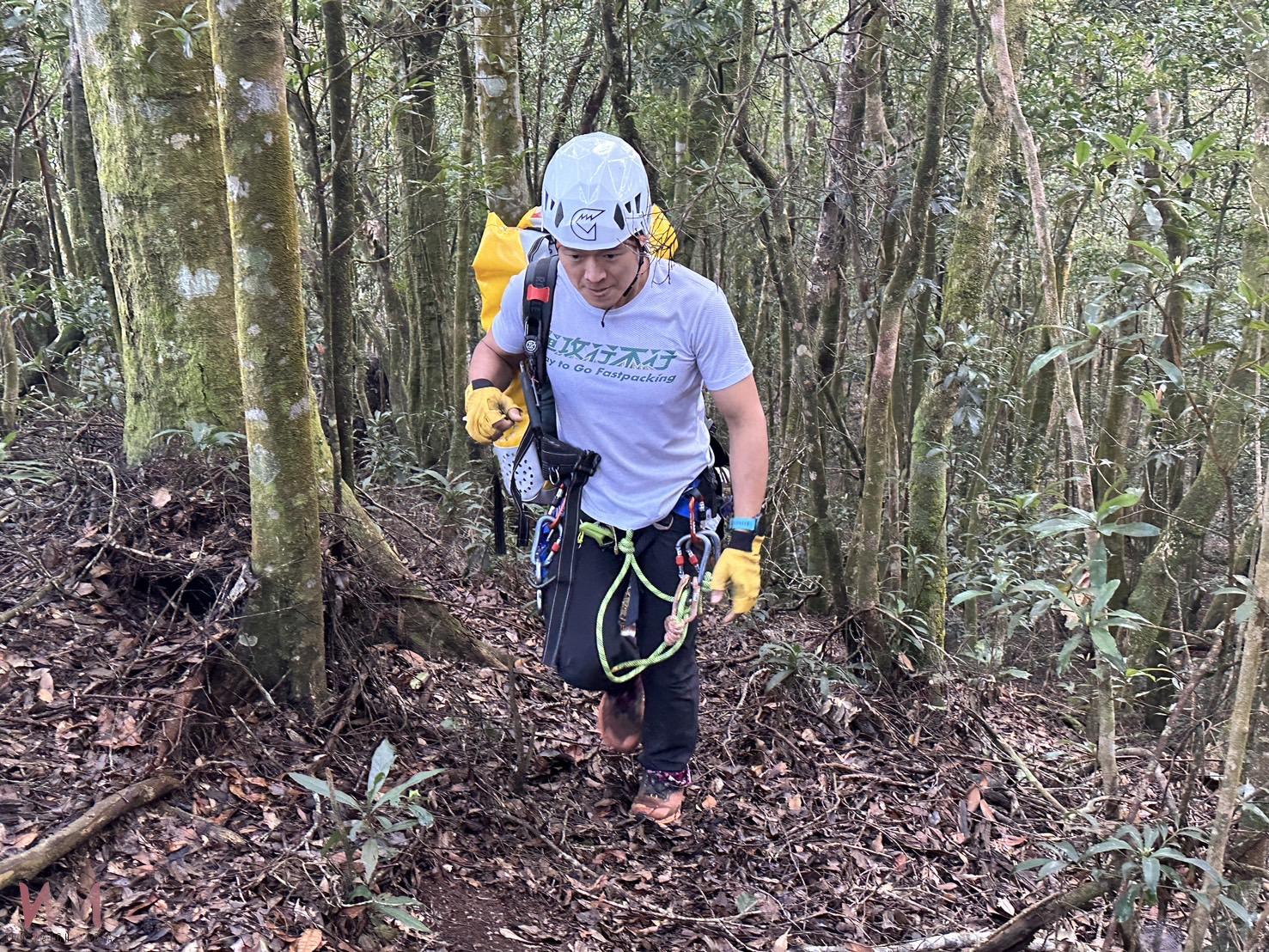 直擊／高雄市茂林多納林道濕冷路滑　山友失蹤案！高屏兩地警義消、民力團體聯手救援 - https://www.watchmedia01.com