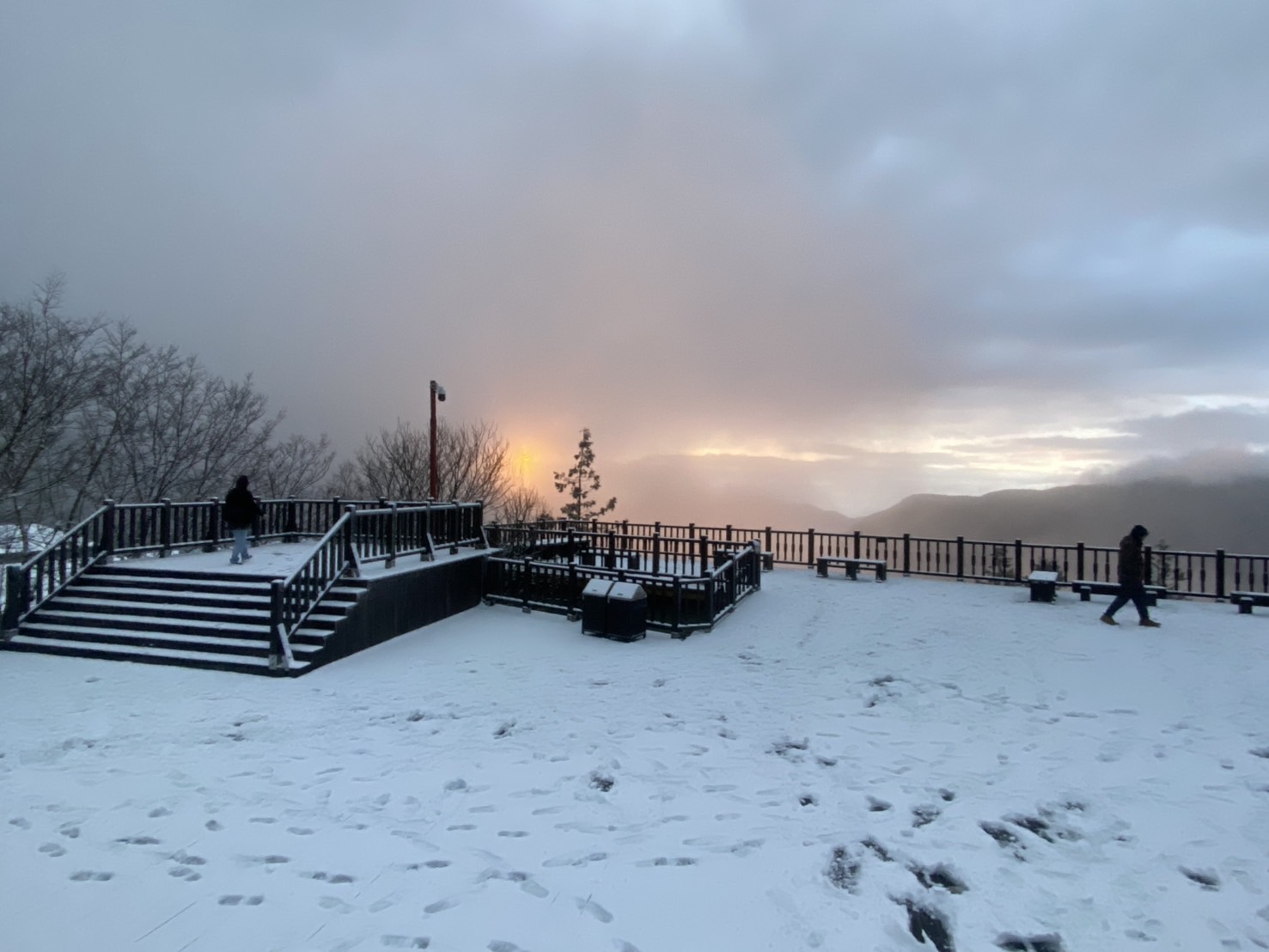 氣溫驟降！太平山一片雪白冰霜厚度一度達兩公分 - https://www.watchmedia01.com