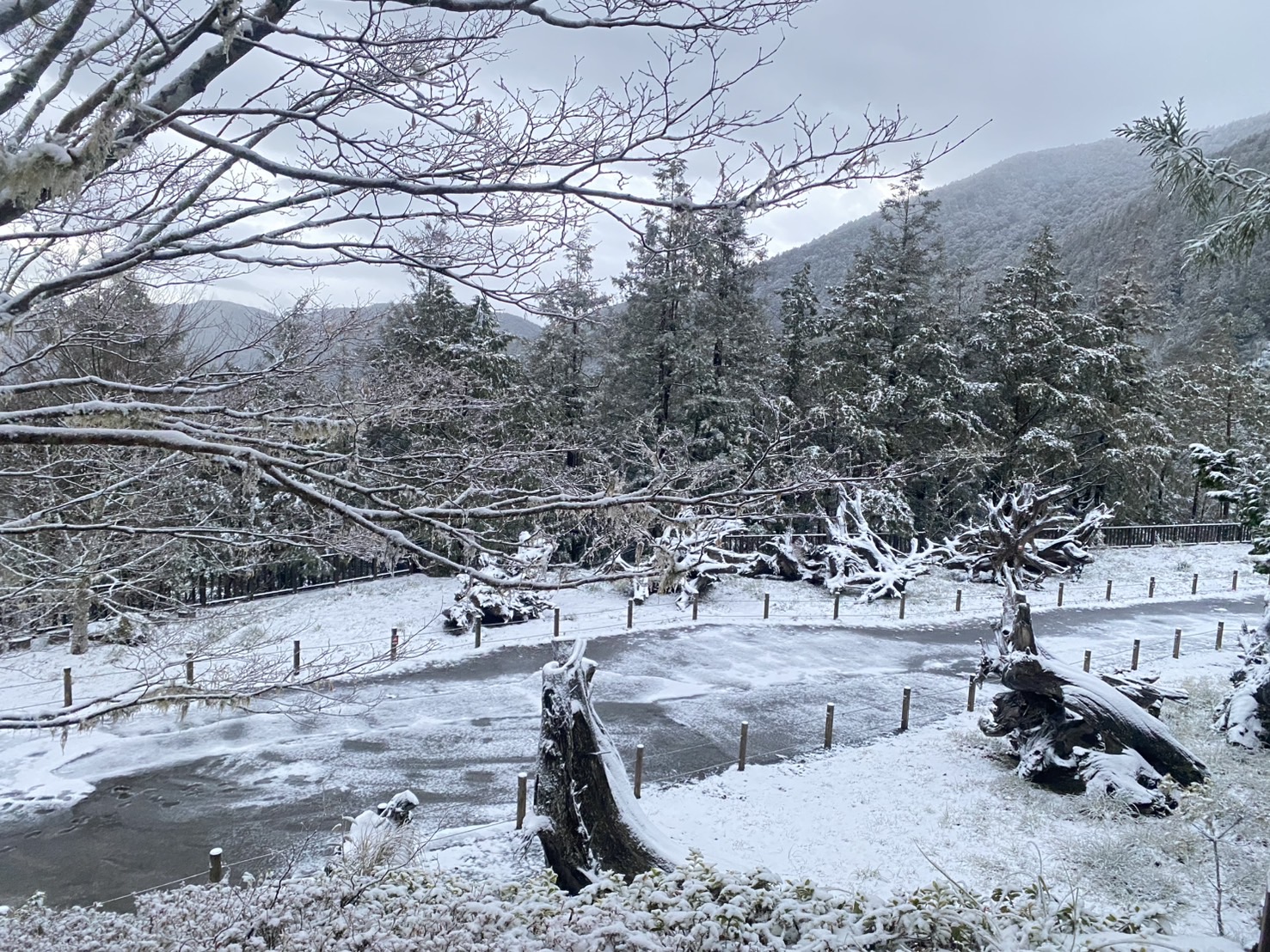 氣溫驟降！太平山一片雪白冰霜厚度一度達兩公分 - https://www.watchmedia01.com