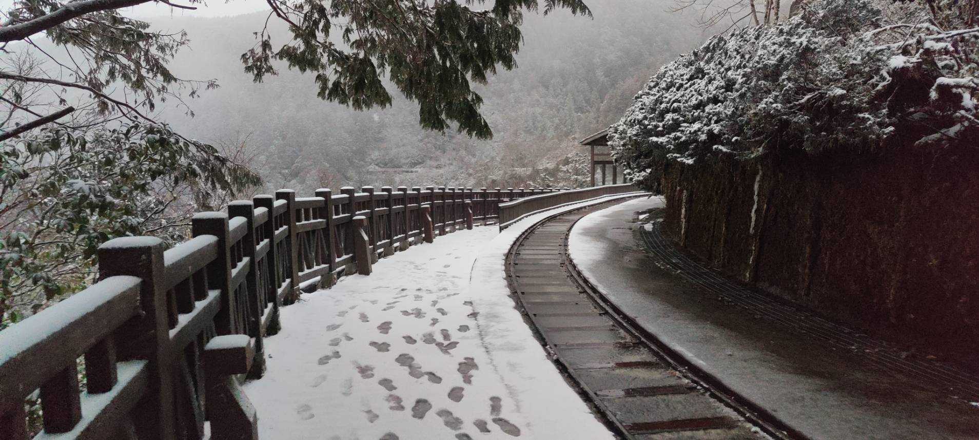 氣溫驟降！太平山一片雪白冰霜厚度一度達兩公分 - https://www.watchmedia01.com
