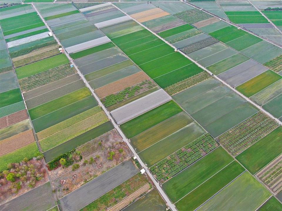 彰化縣首次農地重劃區抵費地標售　5坪農地不到5萬可入手 - https://www.watchmedia01.com
