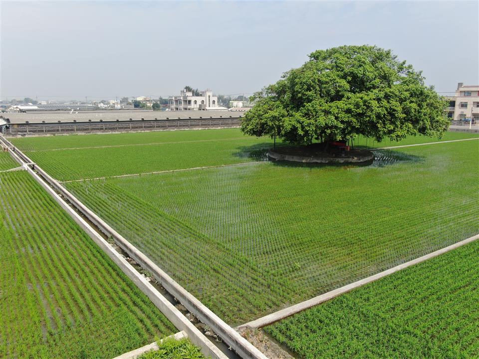 彰化縣首次農地重劃區抵費地標售　5坪農地不到5萬可入手 - https://www.watchmedia01.com