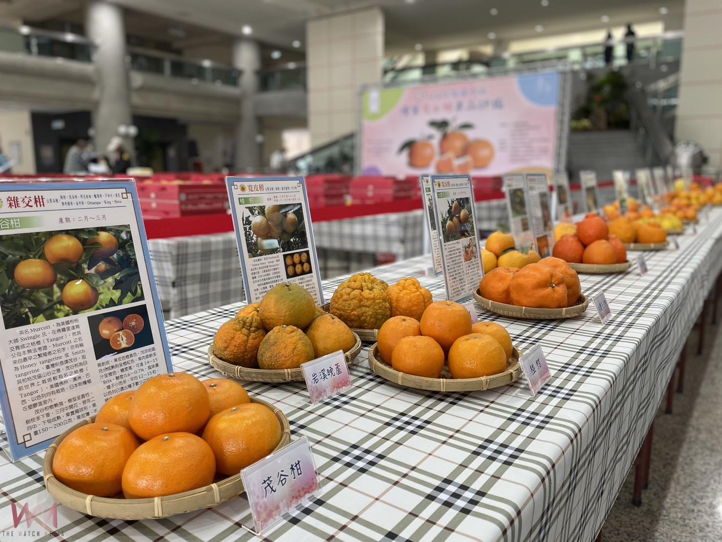 中市優質茂谷柑果品評鑑　農業局：石岡區涂文庭勇奪冠軍殊榮 - https://www.watchmedia01.com