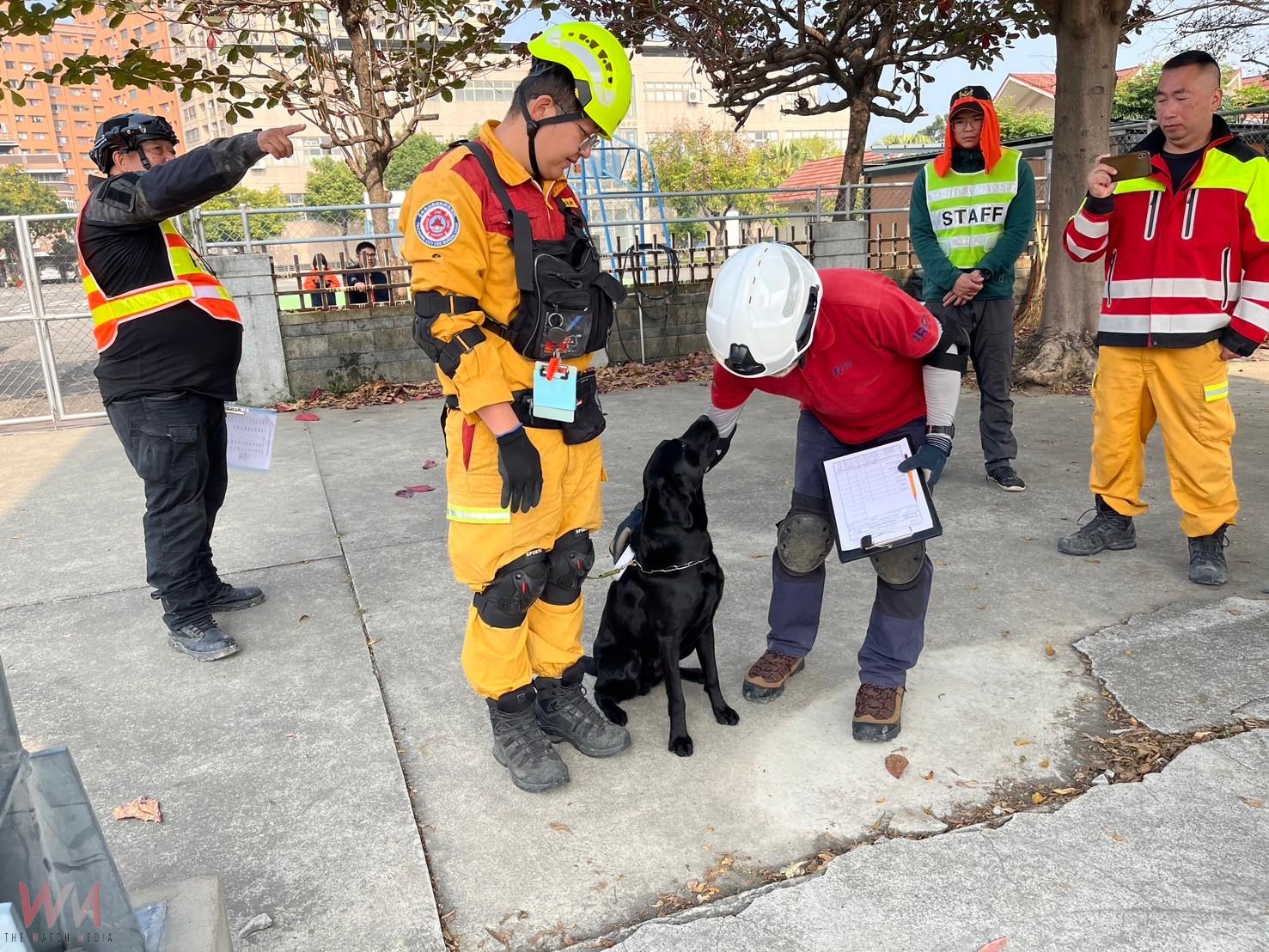 台中市4隻搜救犬IRO評測全數過關 消防局:充分展現培訓成效 - https://www.watchmedia01.com