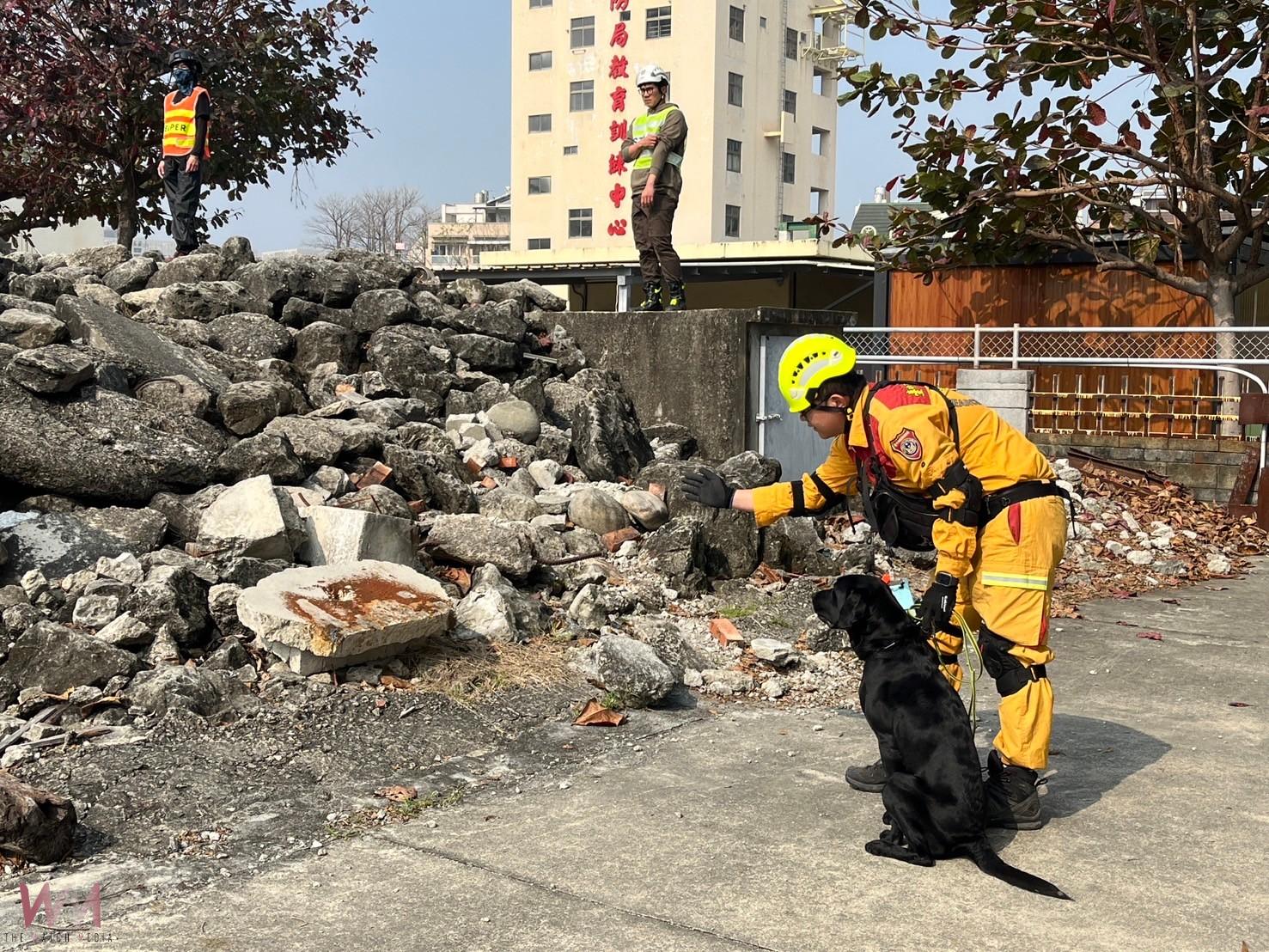台中市4隻搜救犬IRO評測全數過關 消防局:充分展現培訓成效 - https://www.watchmedia01.com