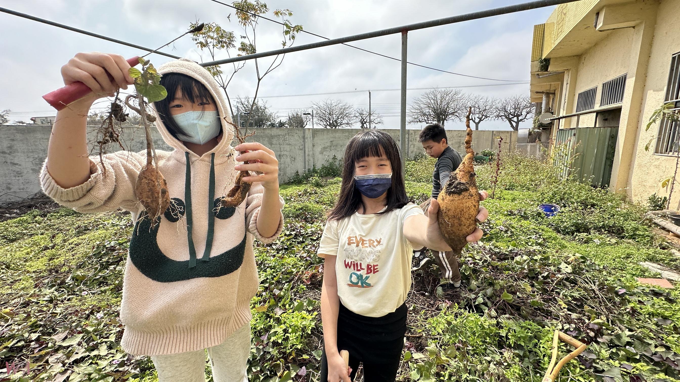 (有影片)/小朋友菜園種地瓜!二林香田國小五甲小朋友的地瓜故事 - https://www.watchmedia01.com