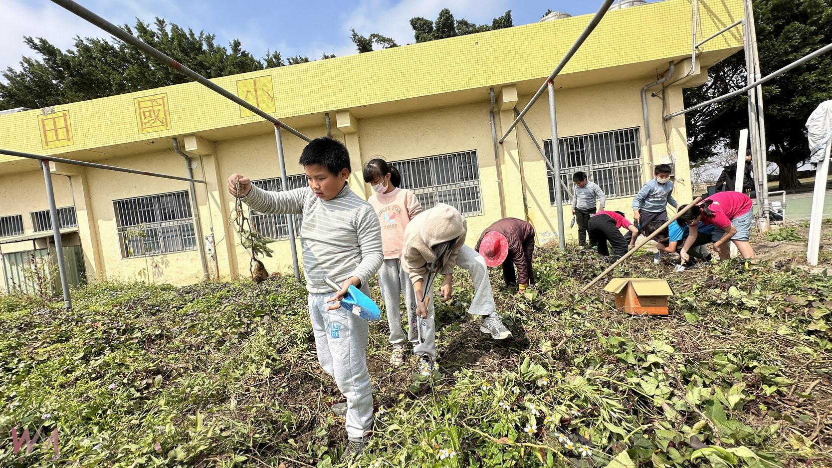 （有影片）／小朋友菜園種地瓜！二林香田國小五甲小朋友的地瓜故事 - https://www.watchmedia01.com