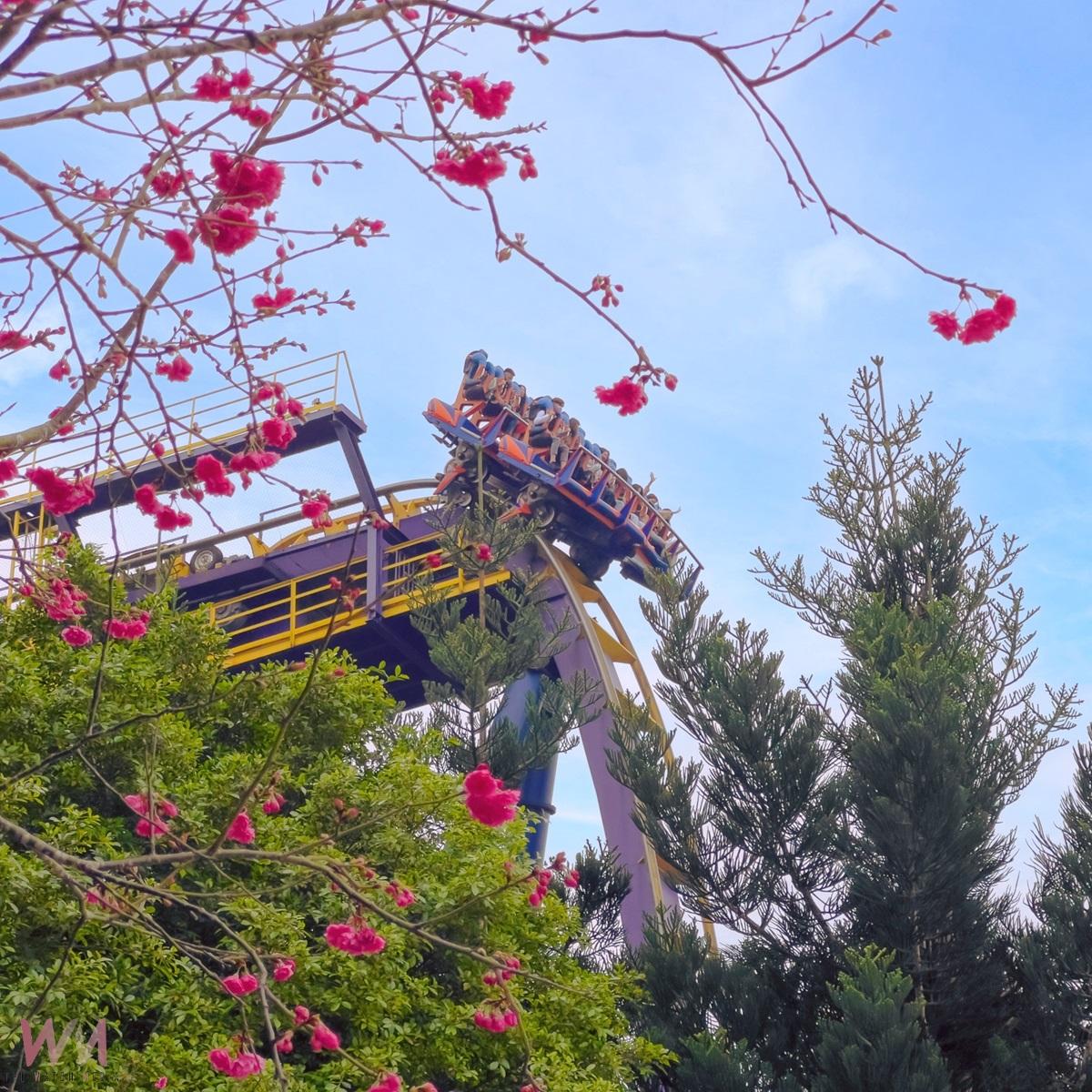 自駕遊劍湖山，一起走吧！ 車車點點名車號1.7.9.8 門票最低3折起 - https://www.watchmedia01.com