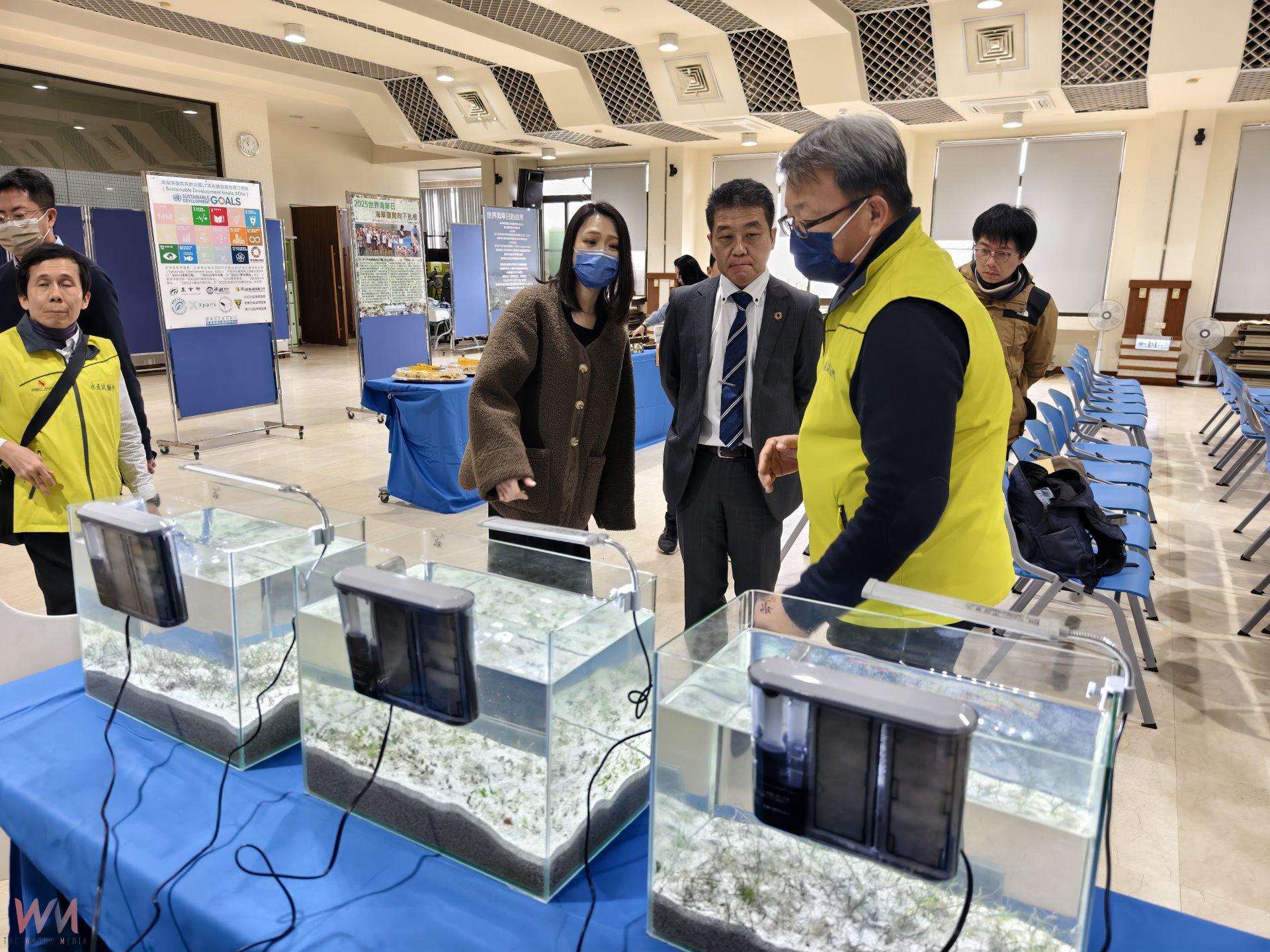 響應2025世界海草日復育向下扎根 水試所與社區合作擴大海草床復育 - https://www.watchmedia01.com