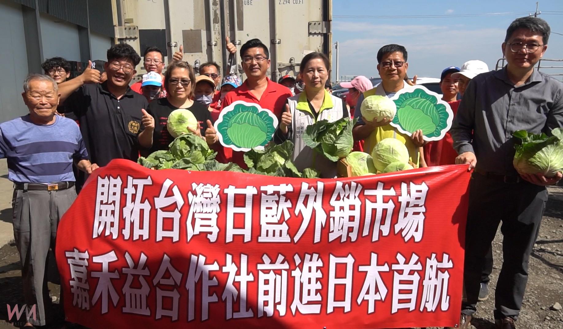 （有影片）／臺灣甘藍首批封櫃外銷日本　雲林高品質蔬菜拓展國際市場 - https://www.watchmedia01.com